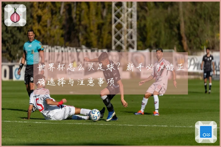 世界杯怎么买足球？新手必知的正确选择与注意事项