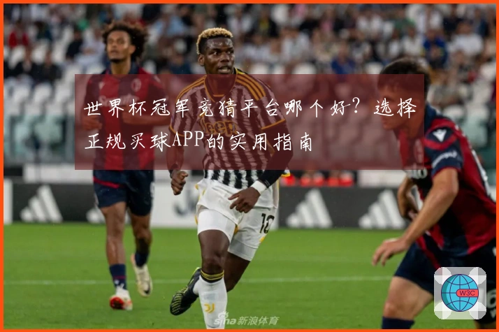 世界杯冠军竞猜平台哪个好？选择正规买球APP的实用指南