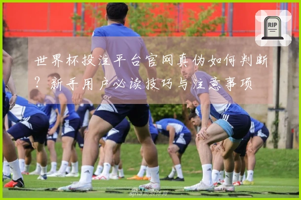 世界杯投注平台官网真伪如何判断？新手用户必读技巧与注意事项